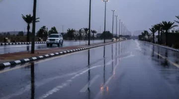 عاصفة مطرية تضرب 7 مناطق بالمملكة ومكة تسجل أعلى هطول بـ32.2 ملم خلال ساعات 1